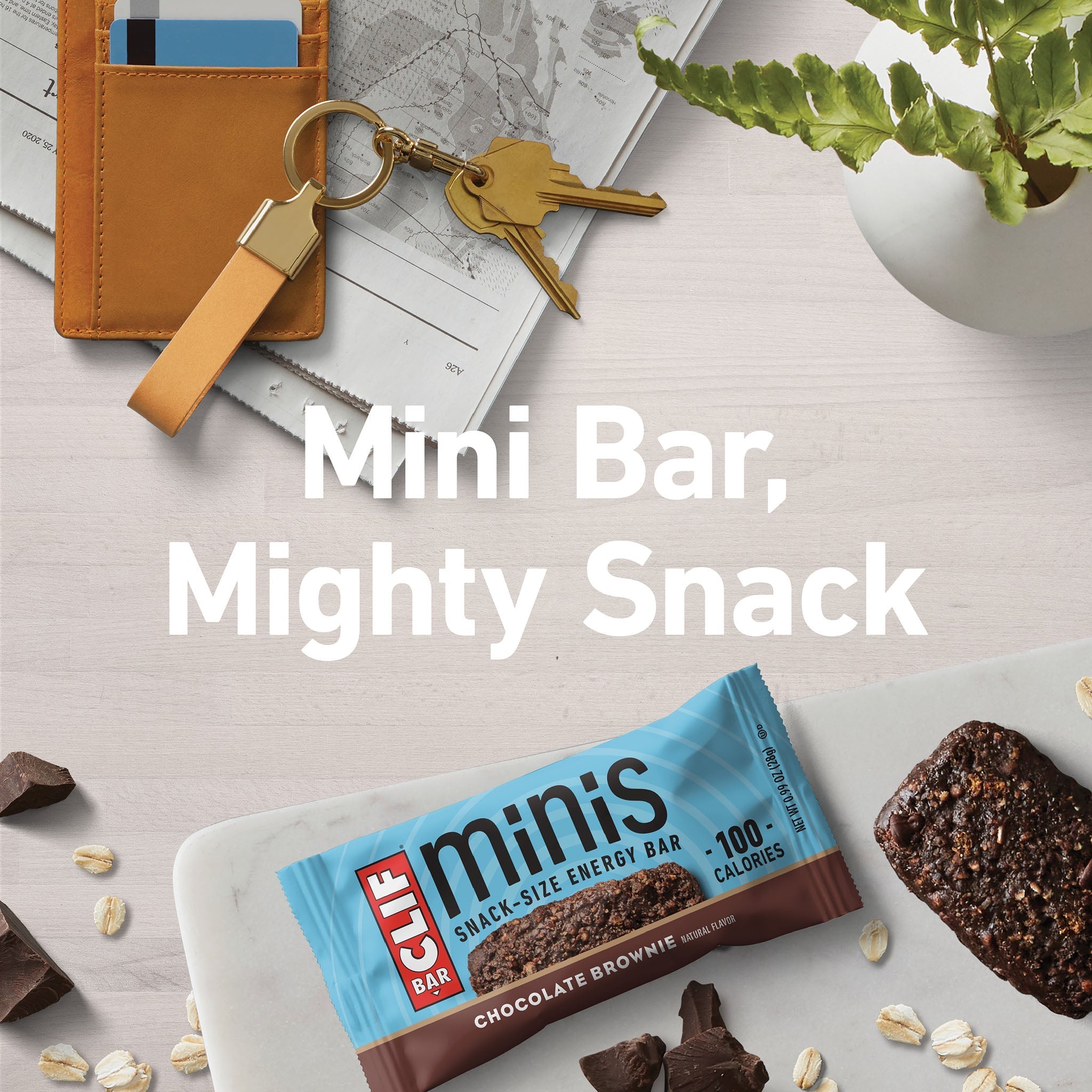 Chocolate Brownie Flavor Minis K9