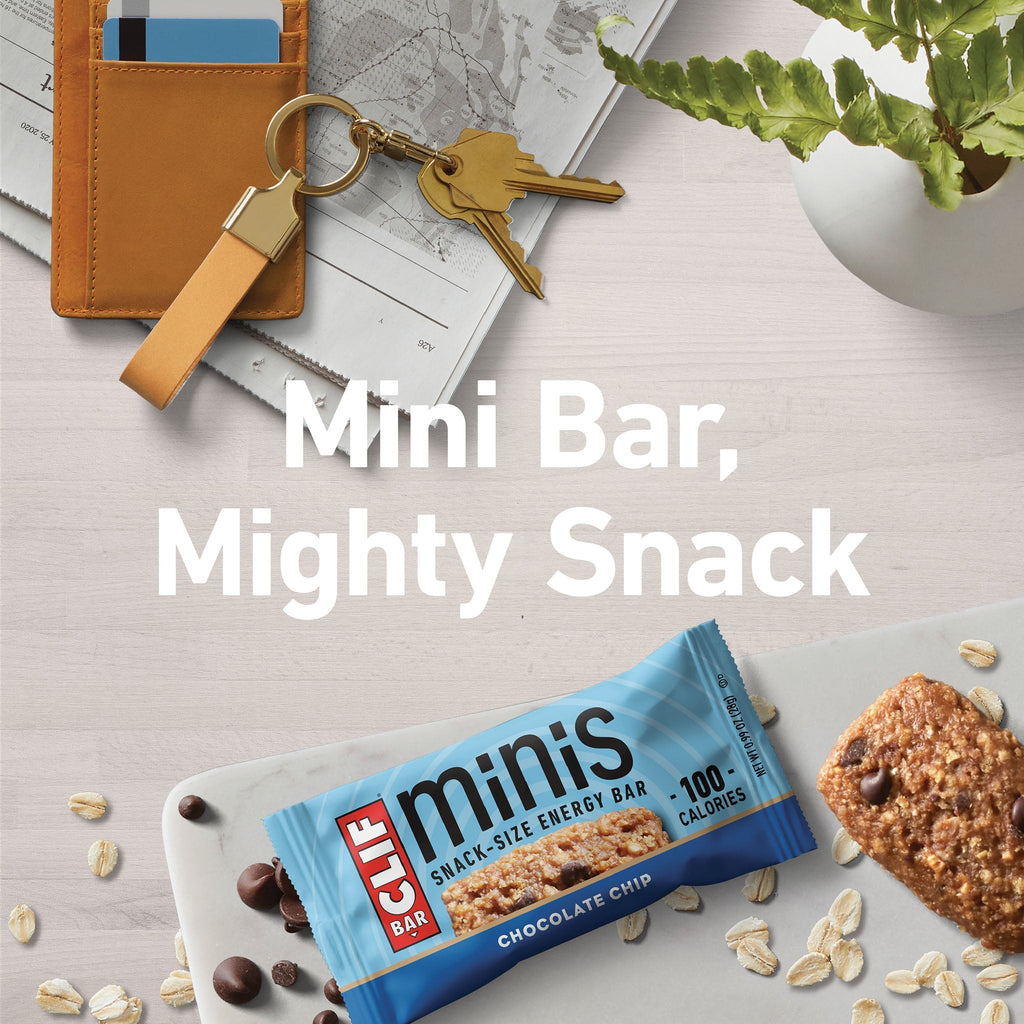 Chocolate Chip Minis J1