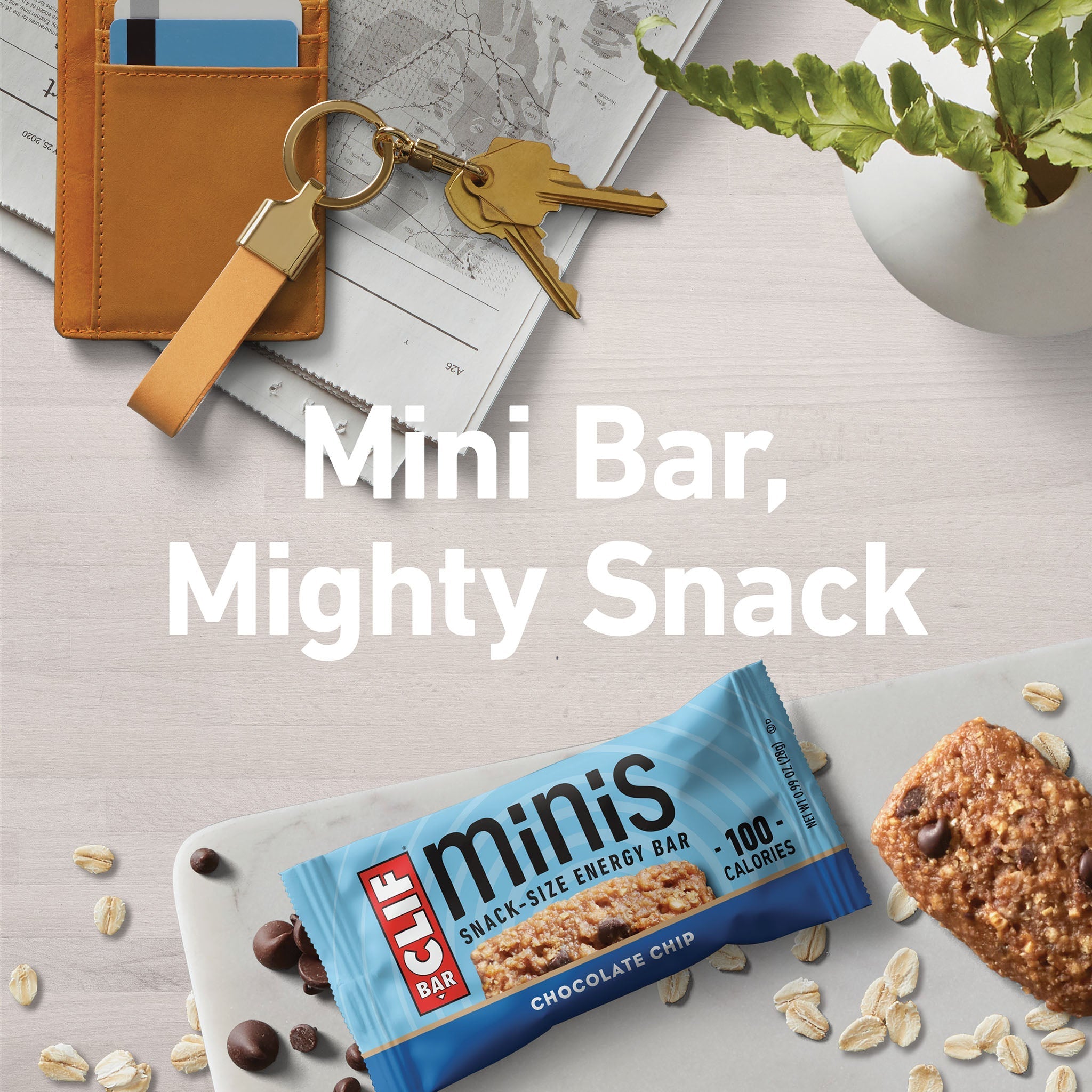 Chocolate Chip Minis J1