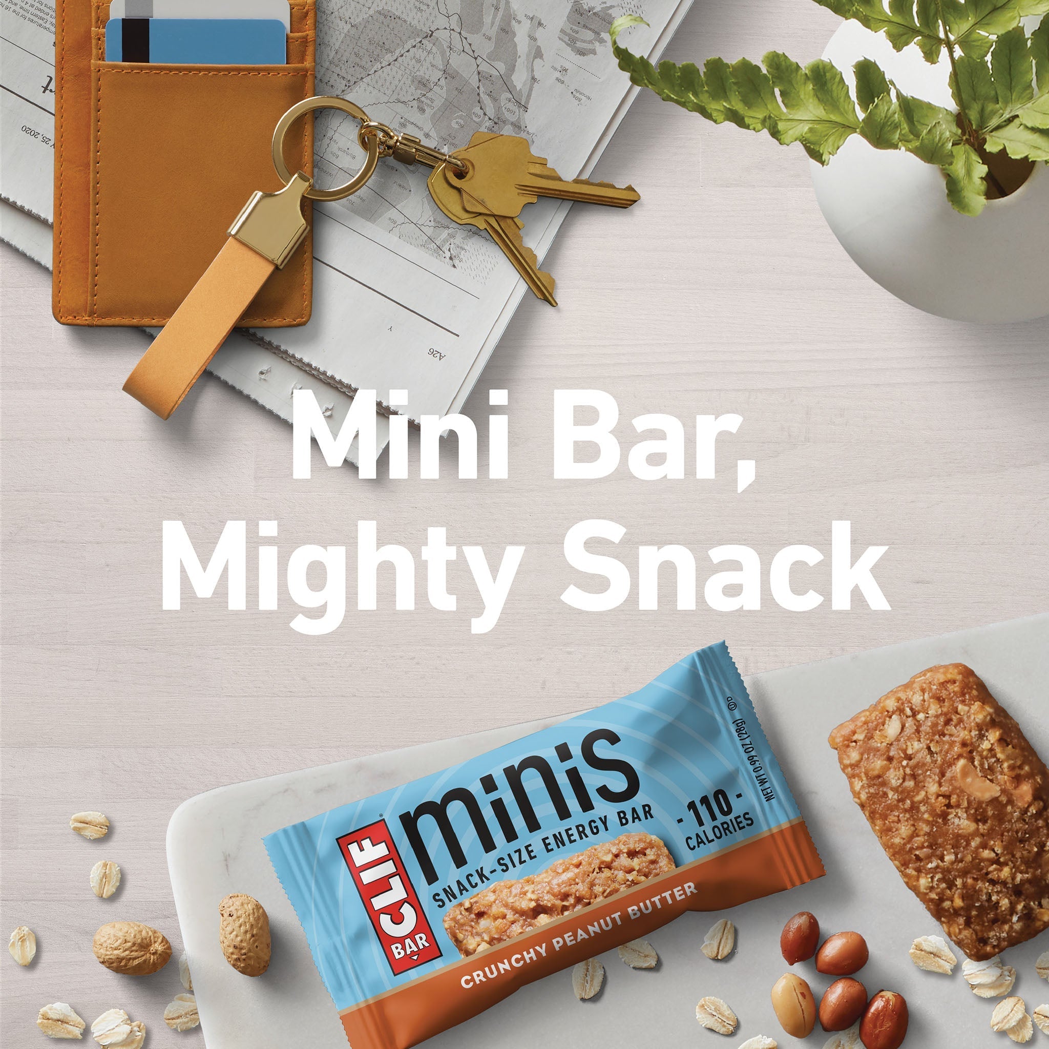 Crunchy Peanut Butter Minis Y9