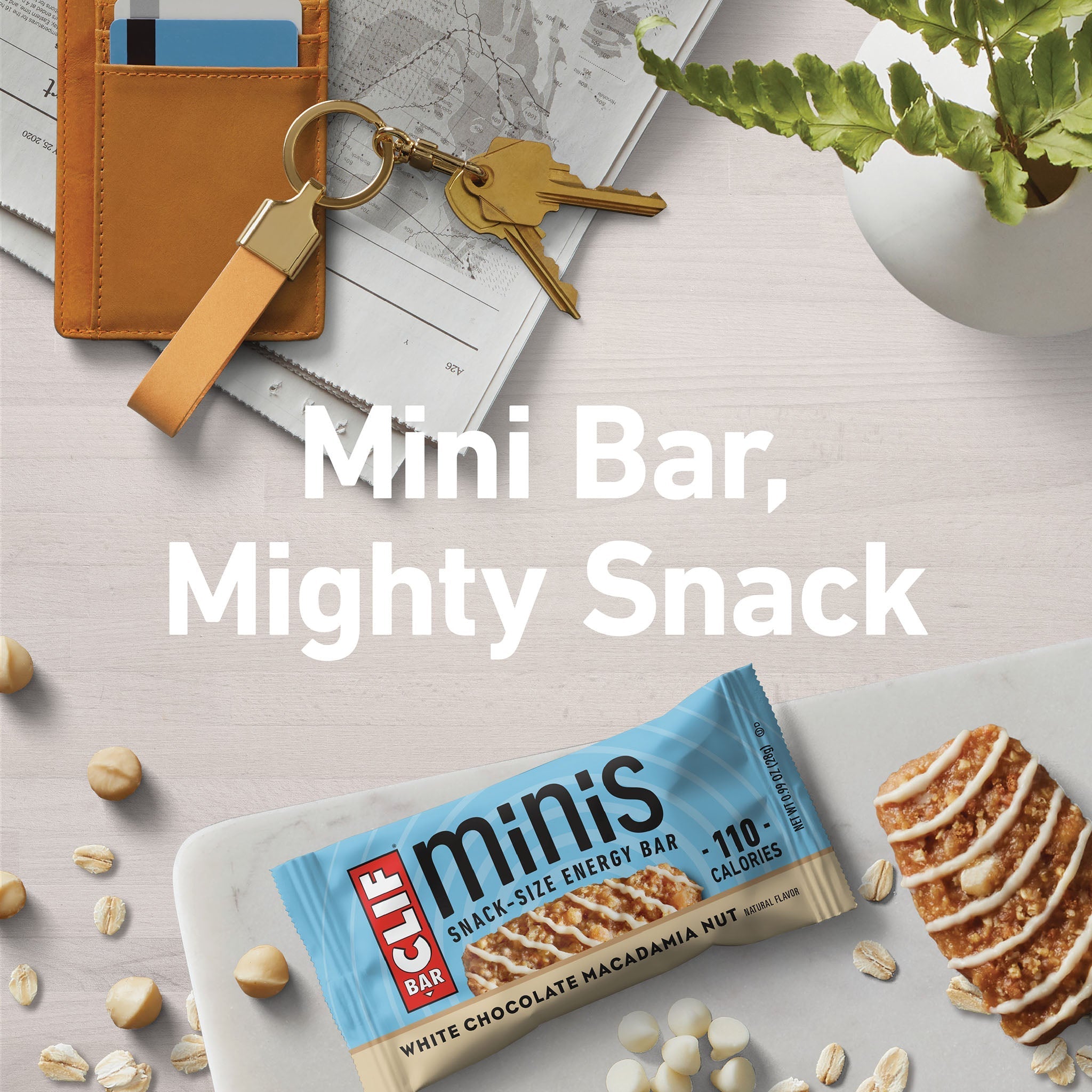 White Chocolate Macadamia Nut Flavor Minis L0